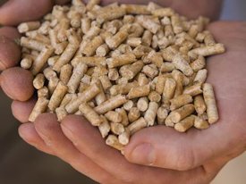 Wood pellets are available by the bag or by the ton at Mapleton Oil Company in Mapleton, Maine.  Delivery is available.